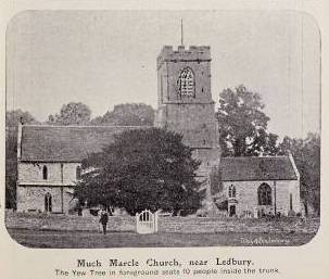 [1904 Much Marcle Church]