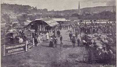 [1905 Cattle Market]