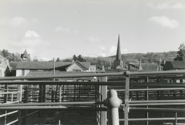 [Ledbury Cattle Market]