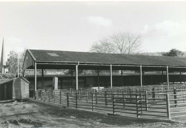 [Ledbury Cattle Market]