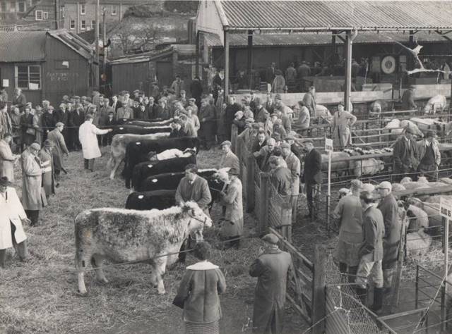 [Ledbury Cattle Market]