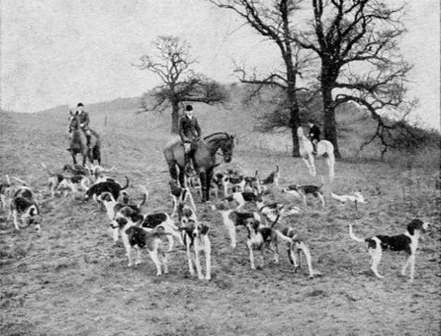 [Ledbury Hunt at Holly Bush]