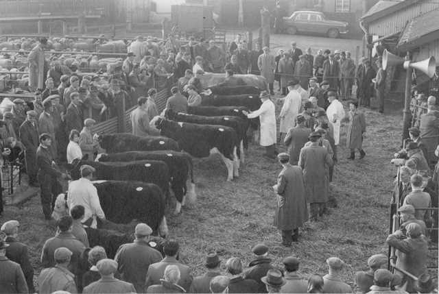 [Ledbury Cattle Market]