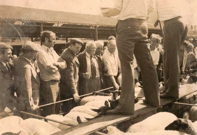 [Ledbury Cattle Market]