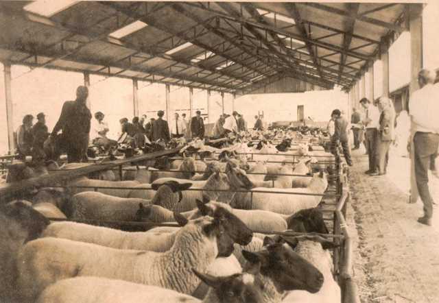 [Ledbury Cattle Market]