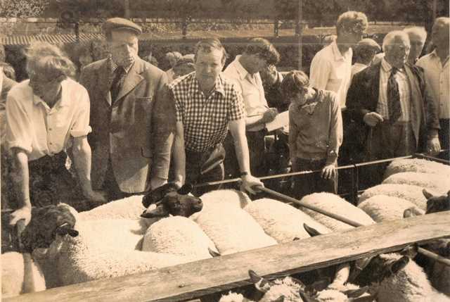 [Ledbury Cattle Market]