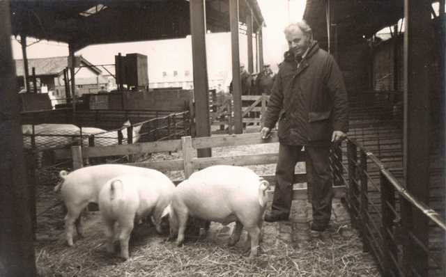 [Ledbury Cattle Market]