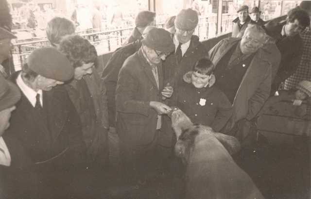 [Ledbury Cattle Market]