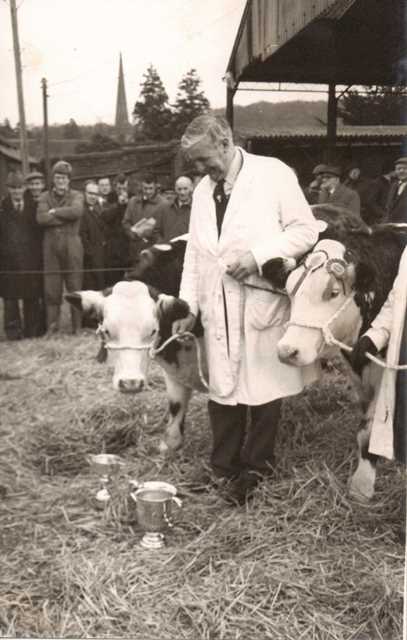 [Ledbury Cattle Market]