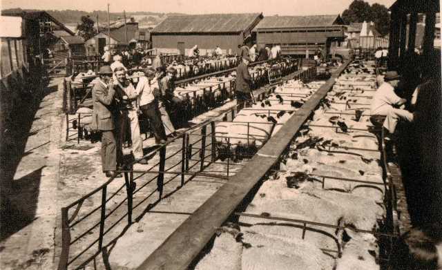 [Ledbury Cattle Market]