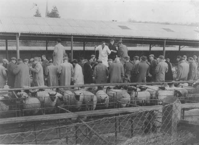 [Ledbury Cattle Market]