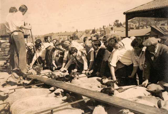 [Ledbury Cattle Market]