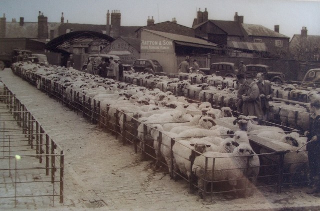 [Ledbury Cattle Market]