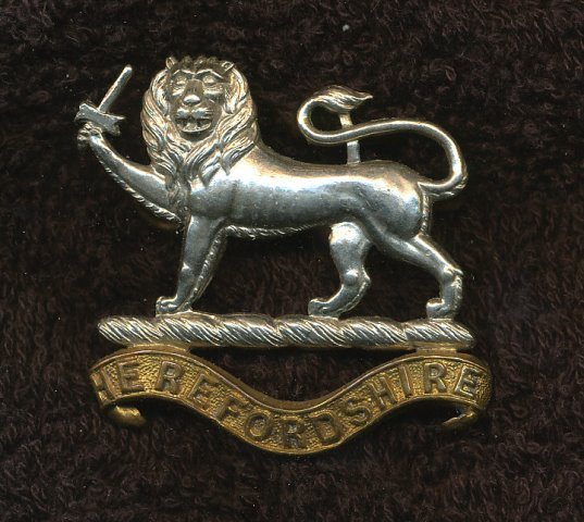 [1st Battalion Herefordshire Light Infantry - 'C' Company]