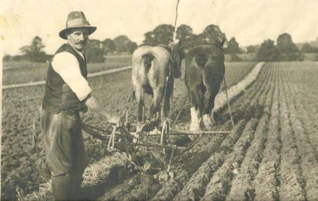 [Ploughing]