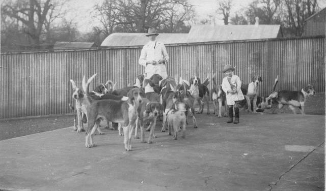 [Ledbury Hounds]