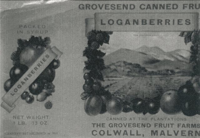 [Grovesend Fruit Farms]