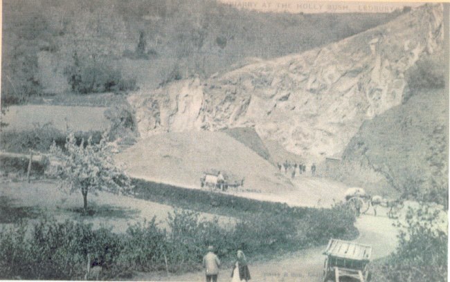 [Hollybush Quarry]